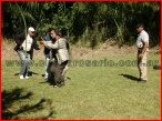 EL ENTRENAMIENTO CONTINUA MEJORA NUESTRAS HABILIDADES Y EL USO SEGURO DEL ARMA